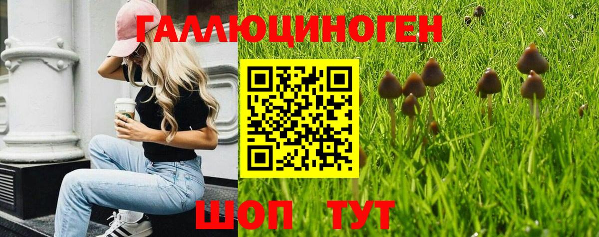 Псилоцибиновые грибы ЛСД  Вход с VPN  Псилоцибиновые грибы мицелий  где купить   Кызыл 